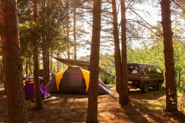 Auto 's, tenten en kamperen in het bos. Familie buitenrecreatie, reisconcept Rechtenvrije Stockfoto's