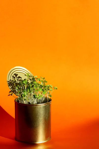 Młodych świeżych zdrowych zieleni w metalowej puszce na pomarańczowym tle zbliżenie. koncepcja rolnictwa wolnego od odpadów — Zdjęcie stockowe