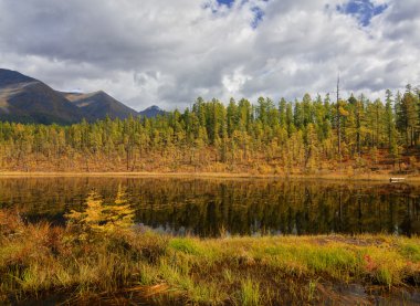 Sonbaharın başlangıcı