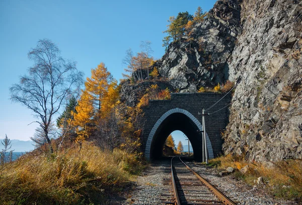 Ferrocarril de otoño —  Fotos de Stock