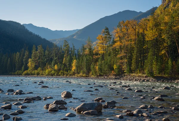 Autumn by the River Kitoy — Stock Photo, Image