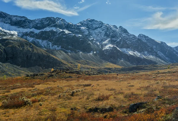 Wandern in den Bergen — Stockfoto