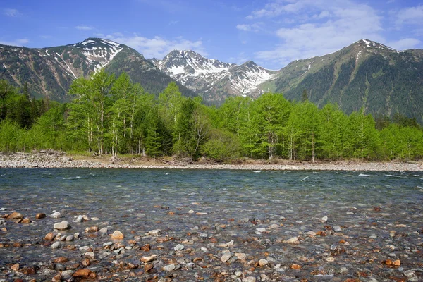 Fluss "schneebedeckt" — Stockfoto