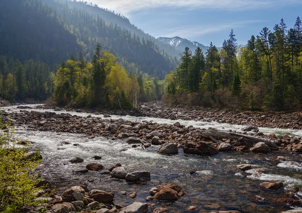 Fluss Selenginka — Stockfoto