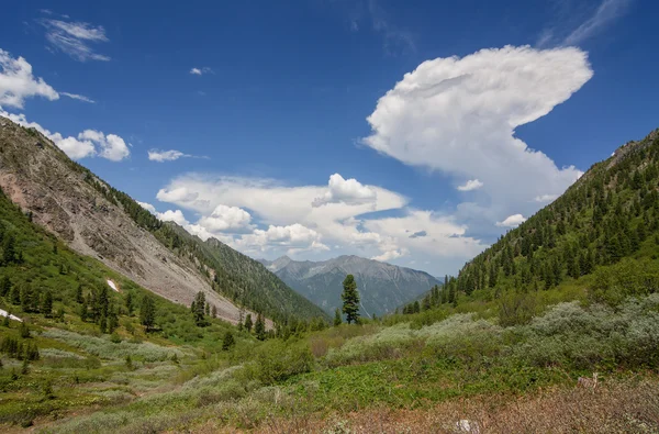 Tunkinskie di montagna — Foto Stock