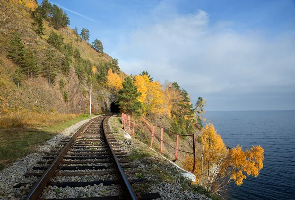 Sonbahar çevre-Baykal demiryolu — Stok fotoğraf