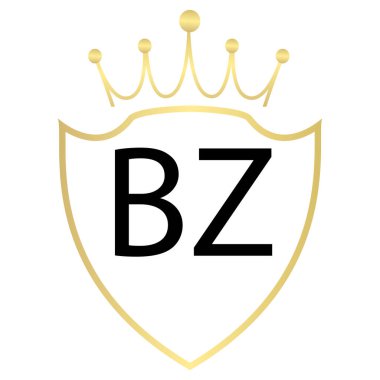 Basit BZ Harfli Logo Tasarımı