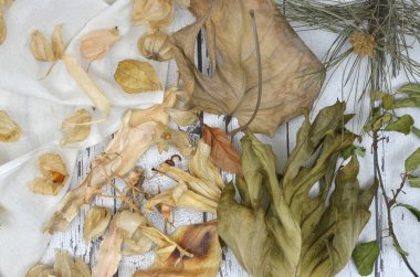 Boho dekorasyonu - üst manzara ahşap masa ve kuru yapraklar, meyveler, çiçekler. Renk yeşilden beyaza geçiş.