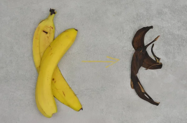 Muz kabuklarının çürüme aşamaları ve tebeşirle çizilmiş sarı ok. Ekolojik yaşam tarzı. Çevre ve gübreleme eğitimi.