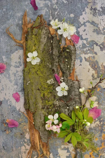 Pembe, yeşil ve beyaz soyutlama: kabuk ve yosun, bahar çiçekleri ve yeşil yapraklar.