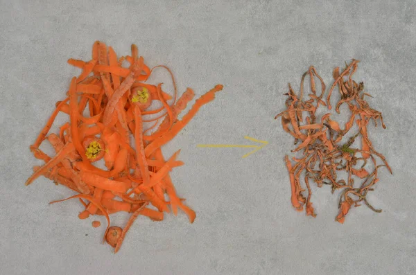 Havuç kabuklarının çürüme aşamaları ve tebeşirle çizilmiş sarı ok. Ekolojik yaşam tarzı. Çevre ve gübreleme eğitimi.