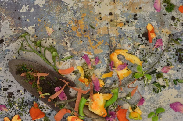 Bahçedeki gübre için renkli, soyut elementler. Biyolojik atıklar, toprak ve kürek. Gübreleme eğitimi.