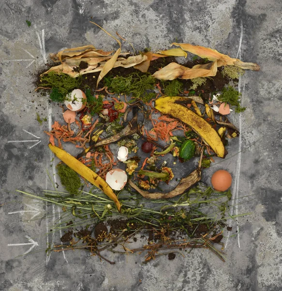 Koyu arkaplanda oklar ve tebeşir çizimleri olan bir bestenin katmanlarının nasıl düzenleneceği sunumu. Ekolojik yaşam biçimi.