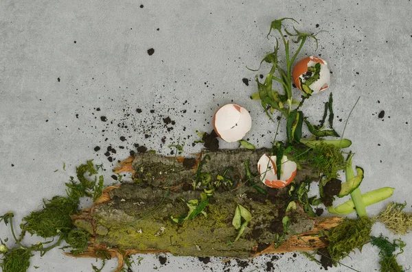 Soyutlama: yemek artıkları ve soyut bir karmaşa içinde sıralanmış diğer gübre parçaları. İçerikle doldurmak için boş alanı olan gri arkaplan.