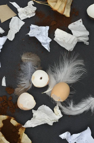 Çevre eğitimi. Beyaz kağıt, kahve filtresi, yumurta kabuğu, siyah arkaplan tüyleri..