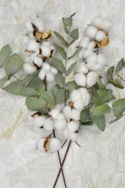 Boho dekorasyonu, bir buket pamuk çiçeği ve okaliptüs. Mermer masada basit bir dekorasyon. 