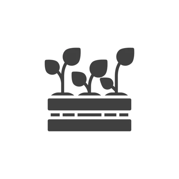 Plantas de plântulas no ícone do vetor caixa — Vetor de Stock