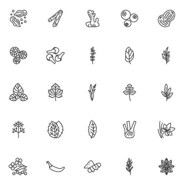 Baharatlar ve şifalı bitkiler çizgisi simgeleri