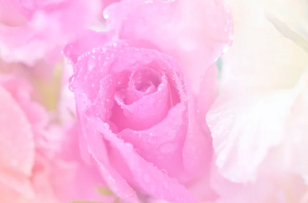 Сладкие цветы в мягком стиле для фона — стоковое фото