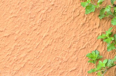 alçı - sert duvar arka plan