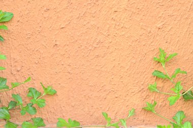 alçı - sert duvar arka plan