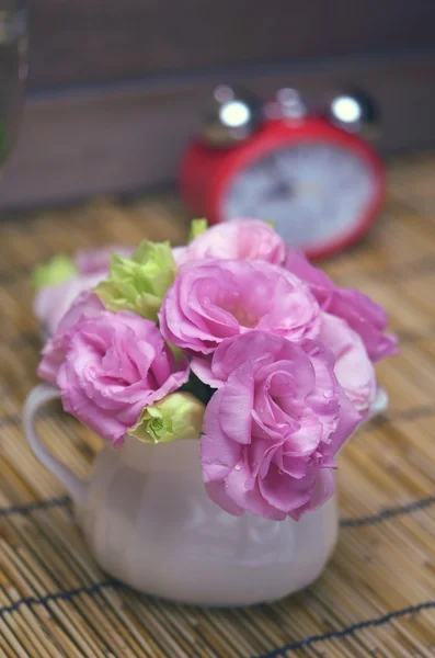 Tatlı taze sabah çiçek — Stok fotoğraf