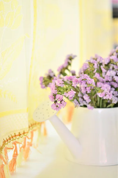 Dulce flor en la mañana fresca — Foto de Stock