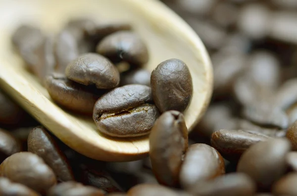 Roasted coffee beans — Stock Photo, Image