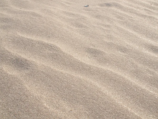 Naturaleza del arte en la superficie de la arena por el viento soplo . — Foto de Stock
