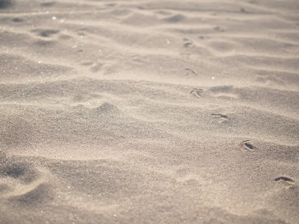 Rodzaj sztuki na powierzchni piasku przez wiatr cios. — Zdjęcie stockowe