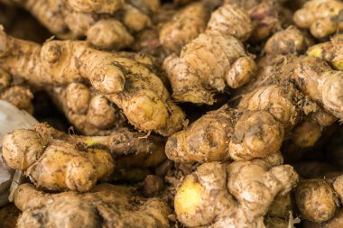 Bir sürü kızıl birikti.