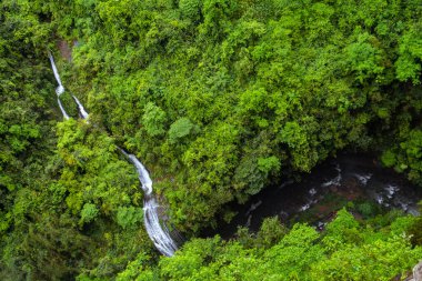 Yeşil orman nehrine bakan 