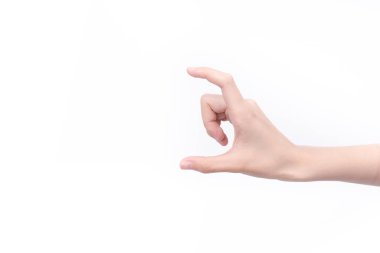 El boş bir arkaplanda bir şey tutuyor. 