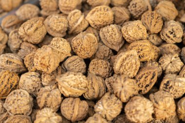 Yaban cevizi yığınları 