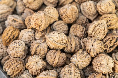 Yaban cevizi yığınları 