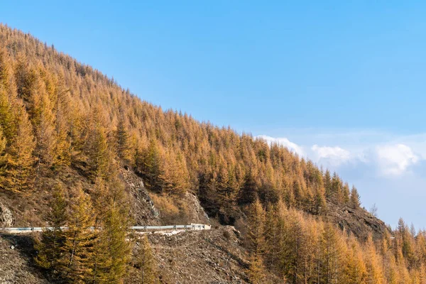 Φθινόπωρο Βουνά Και Χρυσά Φύλλα Κάτω Από Τον Γαλάζιο Ουρανό — Φωτογραφία Αρχείου