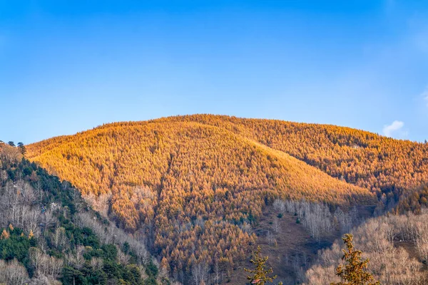 Montagne Dorate Sotto Cielo Blu — Foto Stock