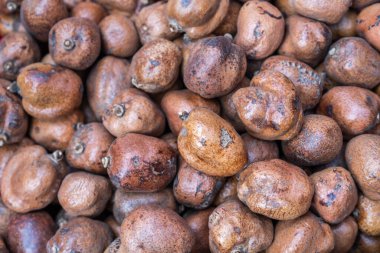 Birlikte bir sürü yaban cevizi 