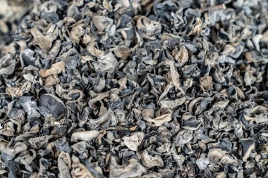 Kurumuş mantar yığını. 