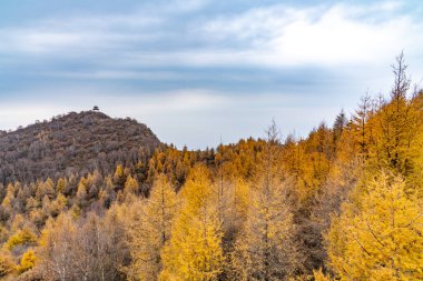 Gökyüzünün altındaki dağlar 
