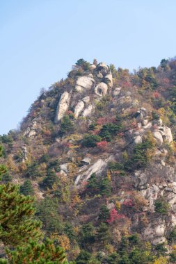 Mavi gökyüzünün altında çıplak kayalar ve sarı bitkiler 