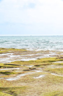 Denizde dalgalar ve kayalar