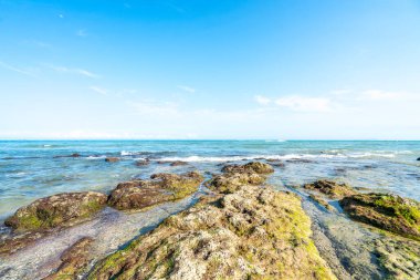 Denizde dalgalar ve kayalar