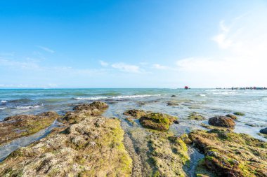 Denizde dalgalar ve kayalar