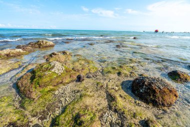 Denizde dalgalar ve kayalar