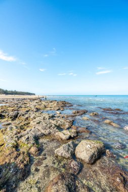 Denizde dalgalar ve kayalar