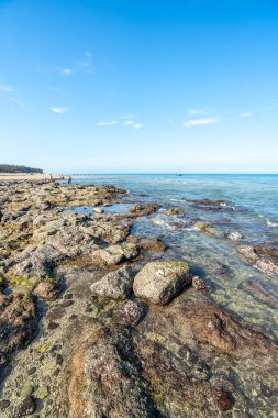 Denizde dalgalar ve kayalar