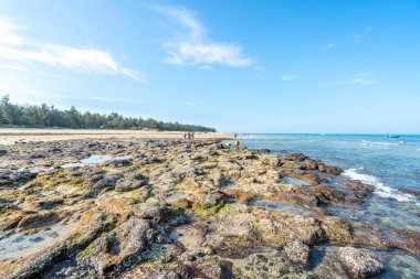 Denizde dalgalar ve kayalar