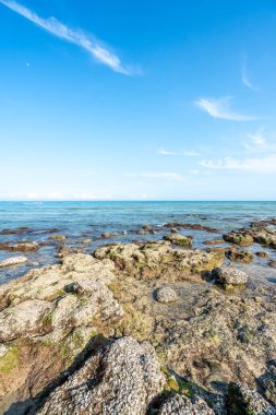 Denizde dalgalar ve kayalar