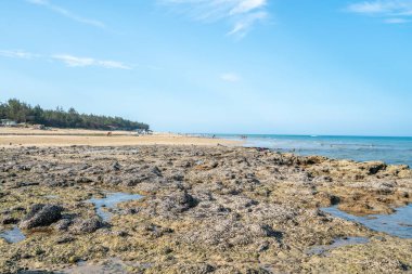 Denizde dalgalar ve kayalar